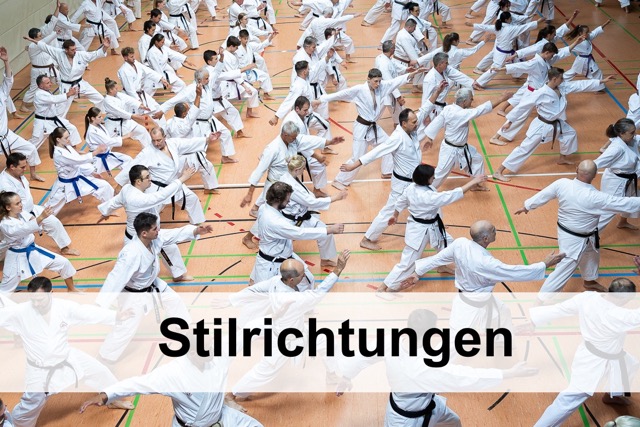 Die Stilrichtung SOK im BKB e.V. informiert